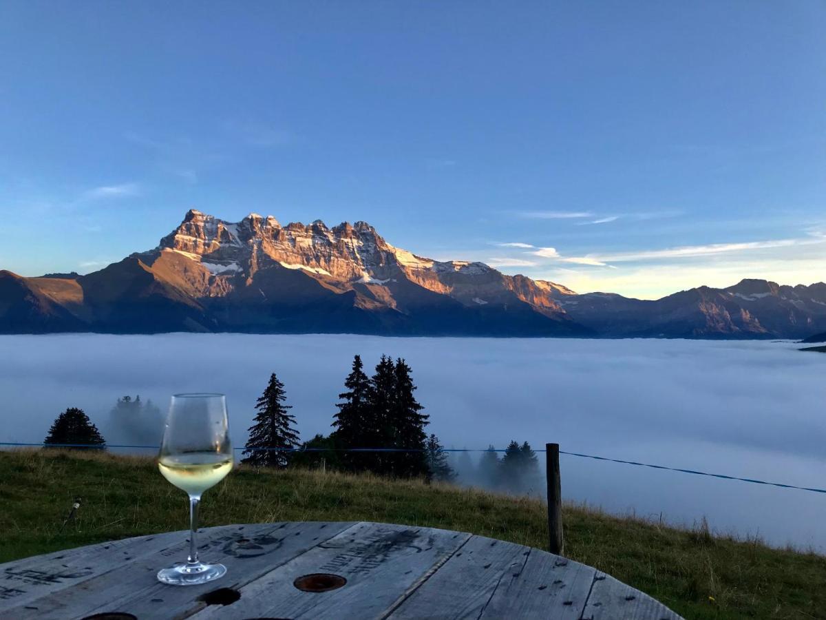 Chalet Chanso Morgins Zewnętrze zdjęcie